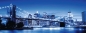 Preview: Ravensburger 15050 - Leuchtendes New York, 1000 Teile Puzzle