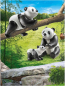 Preview: Playmobil 70353 - 2 Pandas mit Baby