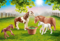 Preview: Playmobil 70682 -  Country, Ponys mit Fohlen
