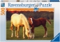 Preview: Ravensburger 14347 - Schöne Pferde, Puzzle 500 Teile