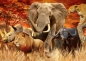 Preview: Ravensburger 19143 - The Big Five, Puzzle 1000 Teile