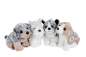Preview: Nicotoy 6305834688 - Plüschhund ca. 20 cm, farblich sortiert