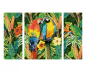 Preview: Schipper 609260853 MNZ - Papageien im Regenwald (Tripthycon)