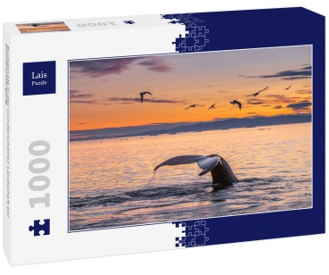 Lais Puzzle 271139 - Buckelwale in der wunderschönen Landschaft bei Sonnenuntergang - 1.000 Teile