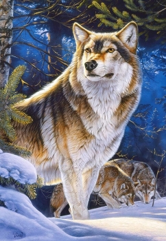 Castorland C-104062-2 -  Wolfsrudel im Schnee, 1000 Teile Puzzle