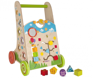 Eichhorn 100002253 - Color Spiel- und Lauflernwagen
