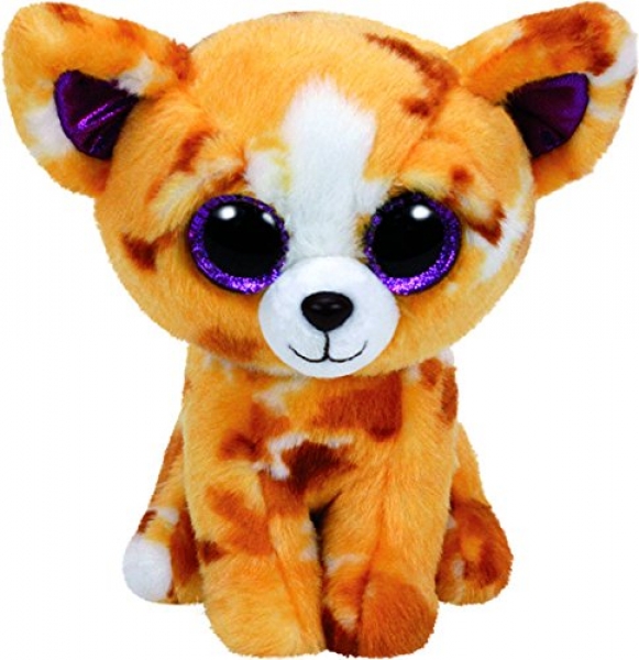 Ty 37171 - Glubschi Beanie Boo's Chihuahua Pablo, 15 cm