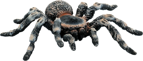 Bullyland 68457 - Spielfigur Weißknie Vogelspinne, ca. 8,5 cm