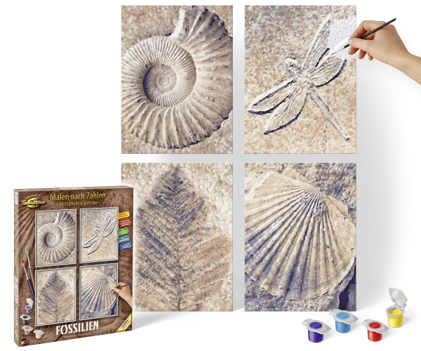 Schipper 609340876 MNZ - Fossilien (Quattro)