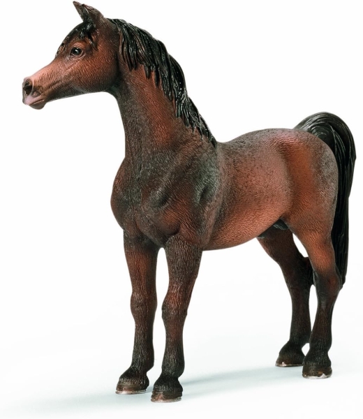 Schleich 13629 - Farm Life, Araber Hengst