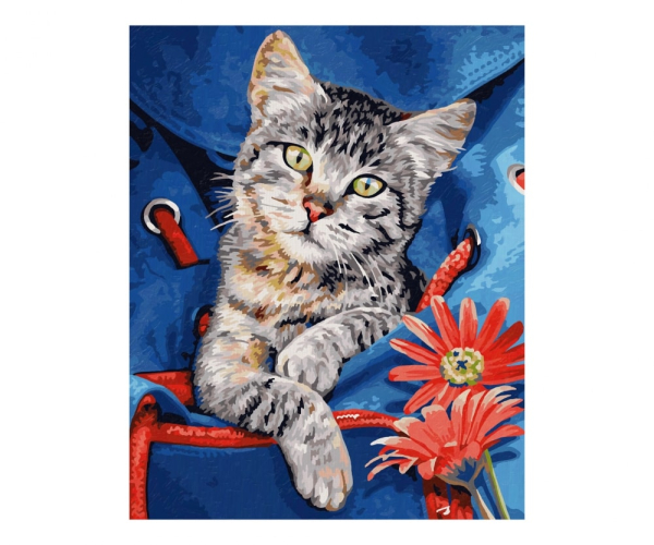 Schipper 609240842 MNZ - Katze im Rucksack