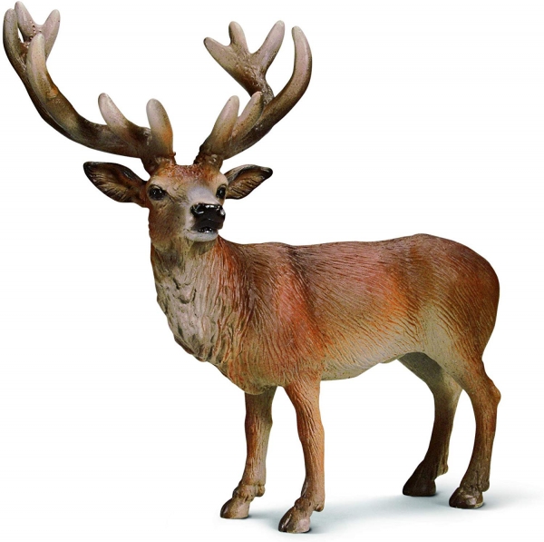 Schleich 14248 - Rothirsch