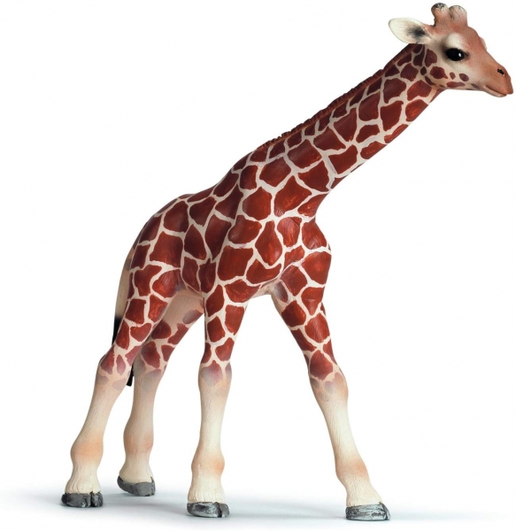 Schleich 14321 - Giraffenbaby