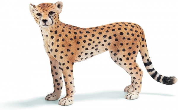 Schleich 14614 - Gepardin